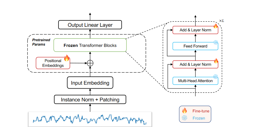 GPT2 fine-tuning